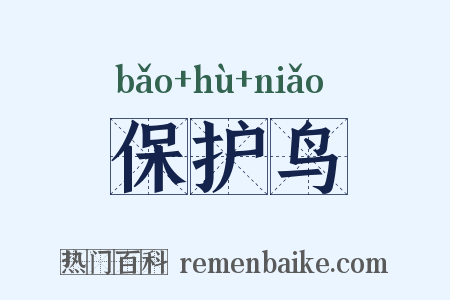 保护鸟是什么意思的图片